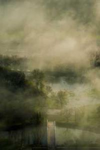 Jules Mitchell